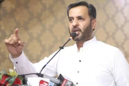 آئی پی پیز معاہدہ پاکستان کی معیشت پر سب سے بڑا زخم ہے، مصطفیٰ کمال