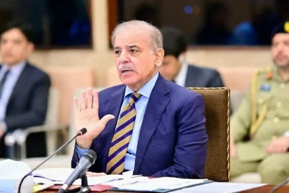 اجتماعی کوششوں سے بلوچستان میں دہشتگردی کا مکمل خاتمہ کیا جائے گا، شہباز شریف