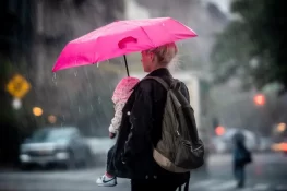 بارشوں کے دوران نقصانات سے بچنے میں مددگار آسان احتیاطی تدابیر