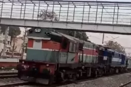 ٹرین ڈرائیور نے بڑی مہارت کیساتھ 5 شیروں کی جان بچالی