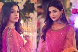 رومانوی مناظر فلمانے سے متعلق اپنی حدود کا تعین کر رکھا ہے، لائبہ خان