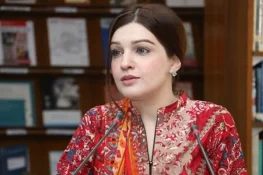 دنیا بھارت سے پوچھے کس بات کی جشن آزادی منا رہا ہے،مشعال ملک