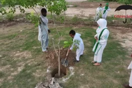 سیٹزن سوسائٹی کا بڑا اقدام، یوم آزادی کے سلسلے میں شجر کاری مہم کا انعقاد