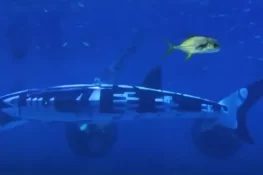 چین نے مخصوص مشنز کے لئے 16 فٹ لمبی روبوٹک شارک مچھلی متعارف کرادی