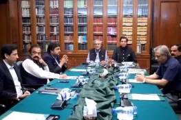 ن لیگ اور پیپلزپارٹی کا پنجاب کی ترقی و خوشحالی کیلئے تعاون جاری رکھنے پر اتفاق