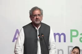 قومی و صوبائی اسمبلیوں میں بیٹھے لوگوں کی اکثریت الیکٹ ہو کر نہیں آئی، شاہد خاقان عباسی