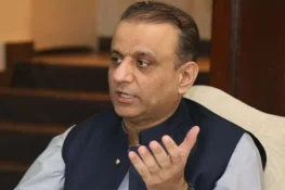 اداروں کی نجکاری میں مارکیٹنگ اور سیلز کی حکمت عملی پر عملدرآمد کیا جائے، علیم خان