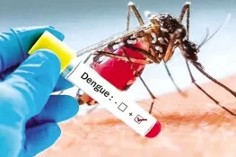 ڈینگی بخار کے کیسز میں نمایاں اضافے کے پیش نظر ڈینگی الرٹ جاری