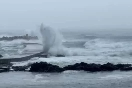 سمندری طوفان یاگی نے تباہی مچادی، 65 افراد جان کی بازی ہار گئے