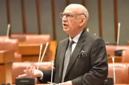 وفاق کی اجازت کے بغیر کوئی صوبہ کسی ملک سے مذاکرات نہیں کر سکتا، عرفان صدیقی