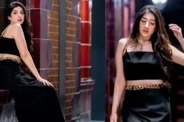 مریم نفیس کے نئے فوٹو شوٹ نے مداحوں کو اپنے سحر میں جکڑ لیا ہے