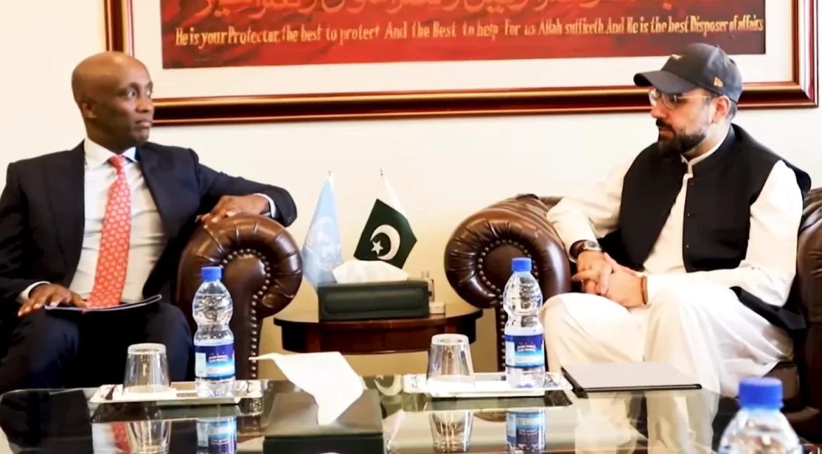 وفاقی وزیر چوہدری سالک حسین کی اقوام متحدہ کے ریزیڈنٹ کوآرڈینیٹر سے ملاقات