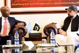 وفاقی وزیر چوہدری سالک حسین کی اقوام متحدہ کے ریزیڈنٹ کوآرڈینیٹر سے ملاقات