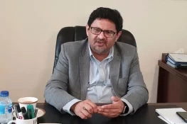 حکومت آئی پی پیز کے حوالے سے صرف دکھاوے کی باتیں کر رہی ہے، مفتاح اسماعیل