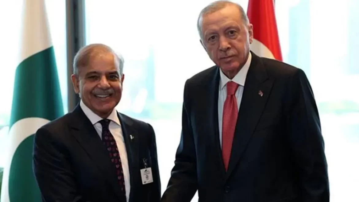 وزیر اعظم شہباز شریف کی ترکیہ کے صدر رجب طیب اردوان سے ملاقات