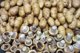 سری لنکا بھیجے جانے والے آلوؤں میں ہیروئن اسمگل کرنے کی واردات پکڑ لی گئی