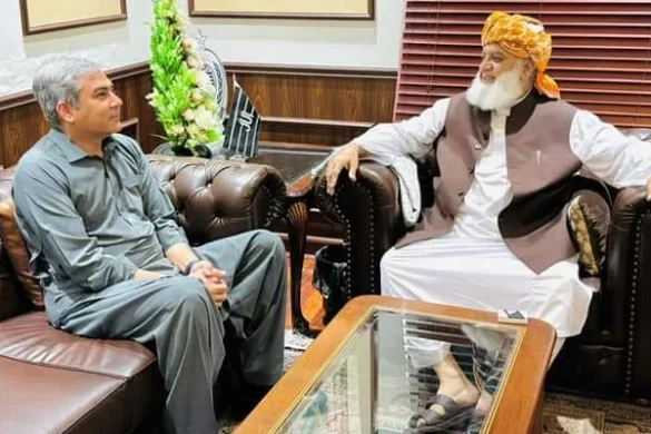 وفاقی وزیر داخلہ محسن نقوی کی مولانا فضل الرحمان سے ملاقات
