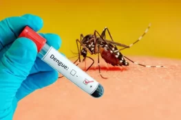 پنجاب میں ڈینگی کے 130 کیسز رپورٹ