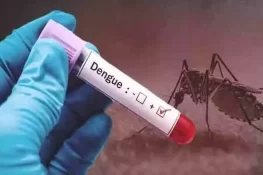 پنجاب میں ڈینگی نے سر اٹھالیا، 109 نئے کیسز رپورٹ 