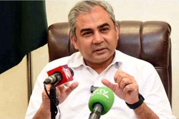 کسی ایک کی خواہش پر پورا ملک بند نہیں کرسکتے، محسن نقوی