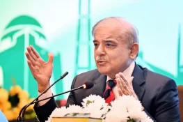 5 آئی پی پیز سے معاہدہ ختم کر رہے ہیں، شہباز شریف