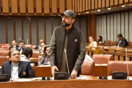 سمندر پار پاکستانیوں کی پراپرٹی کے لیے خصوصی عدالت کے قیام کا بل منظور