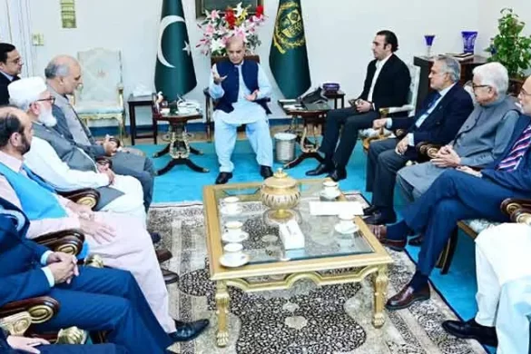 غزہ میں خونریزی بند کرانا اولین ترجیح ہے، شہباز شریف