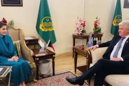 مریم نواز کی پرتگالی سفیر سے ملاقات، تجارتی حجم بڑھانے پر اتفاق