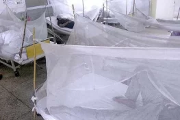 پنجاب میں ڈینگی کے وار جاری، راولپنڈی میں ایک مریض جاں بحق