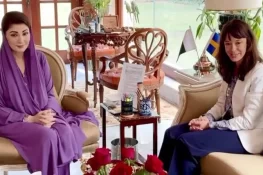 ماحول کی بہتری کیلئے سویڈن کے تجربات سے مستفید ہونا چاہتے ہیں، مریم نواز