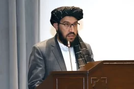 کچھ عناصر ملک میں دراندازی کرتے ہیں یہ ہماری پالیسی نہیں، افغانستان