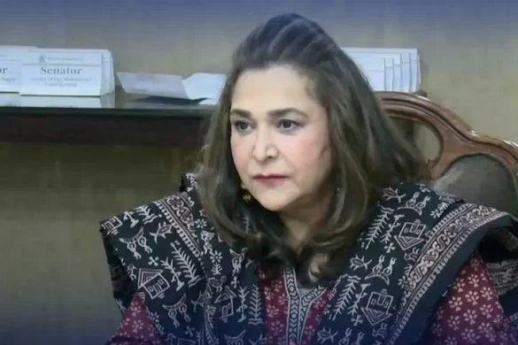 کوئی ڈیل کی نہ کوئی ووٹ دیا، میرا گواہ صرف اللہ ہے، سینیٹر زرقا تیمور