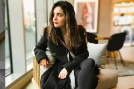 ارمینا خان کی کار کا ٹرک سے تصادم، تصاویر وائرل