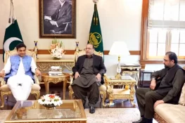 حمزہ شہباز سے وفاقی وزیر سالک حسین کی خصوصی ملاقات، باہمی امور پر تبادلہ خیال