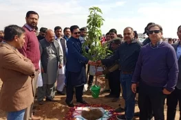 شجرکاری مہم کے دوران ڈی سی گجرات کیجانب سے پودوں کی تقسیم