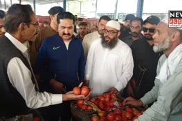ڈپٹی کمشنر صفدر حسین ورک کا سبزی منڈی کا دورہ، نیلامی کی نگرانی