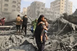 اسرائیلی بمباری سے شہید فلسطینیوں کی لاشیں کتے کھانے لگے