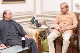 آئینی ترامیم: وزیراعظم شہباز شریف کی صدر زرداری سے ملاقات