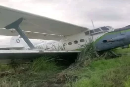 طیارے اور رکشے کے درمیان تصادم، 4 افراد ہلاک