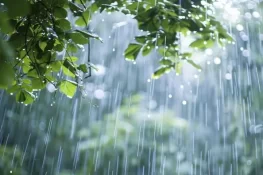 ملک کے مختلف شہروں میں گرج چمک کیساتھ بارش کی پیشگوئی