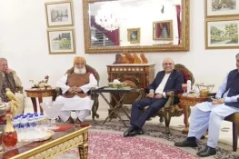 پیپلز پارٹی، جے یو آئی (ف) اور ن لیگ کے درمیان آئینی ترامیم پر اتفاق