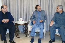 محسن نقوی کا تعمیر ہونیوالی نئی سٹرکوں کے نام شہداء سے منسوب کرنے کا اعلان