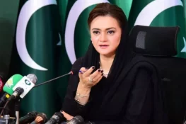 پوری قوت سے اسموگ پھیلانے والے ذرائع کو روکیں گے، مریم اورنگزیب