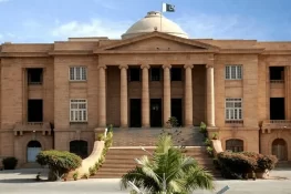 26 ویں آئینی ترمیم، مقدمات کی سماعت تاخیر کا شکار