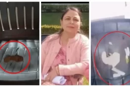 ٹیچر کے ڈانٹنے پر طلبا نے ٹیچر کی کرسی پر بم نصب کردیا