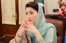 تحریک انصاف کا کام ہی احتجاج کرنا ہے، مریم نواز