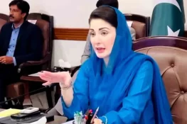 سموگ پرانا مسئلہ ہے یہ راتوں رات حل نہیں ہوسکتا: مریم نواز