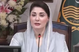 مریم نواز نے پی ٹی آئی کے احتجاج کو مسلح دہشتگردی کی کاوش قرار دیدیا