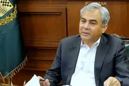 اقبال کے فلسفے کے مطابق ہمیں ملکر ہر چیلنج کا مقابلہ کرنا چاہیے، محسن نقوی