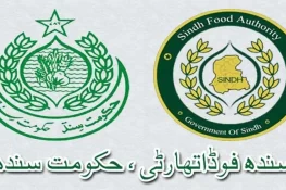 سندھ حکومت کا سائنٹفک پینل کے قیام کا فیصلہ